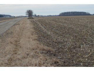 Property photo 18 - 173 +/- Acres Offered in 3 Tracts - Ohio Farmland